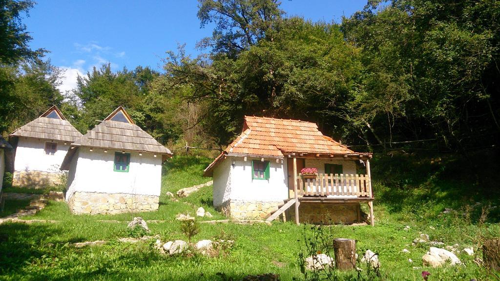 Camp Divlja Rijeka Ξενοδοχείο Hum Εξωτερικό φωτογραφία