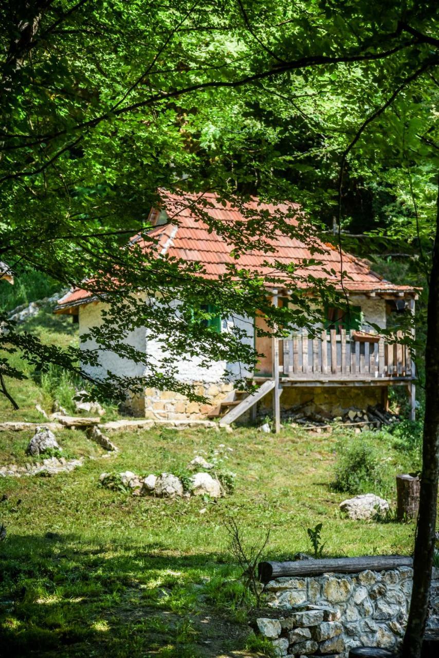 Camp Divlja Rijeka Ξενοδοχείο Hum Εξωτερικό φωτογραφία