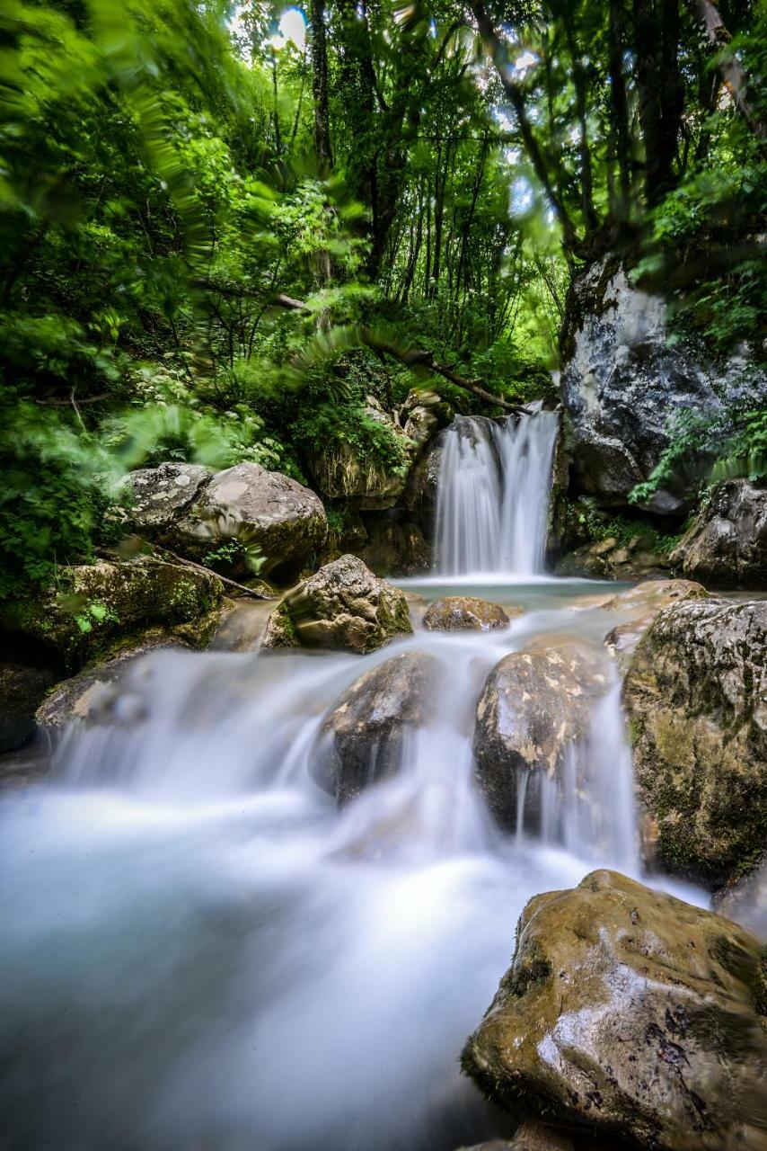 Camp Divlja Rijeka Ξενοδοχείο Hum Εξωτερικό φωτογραφία